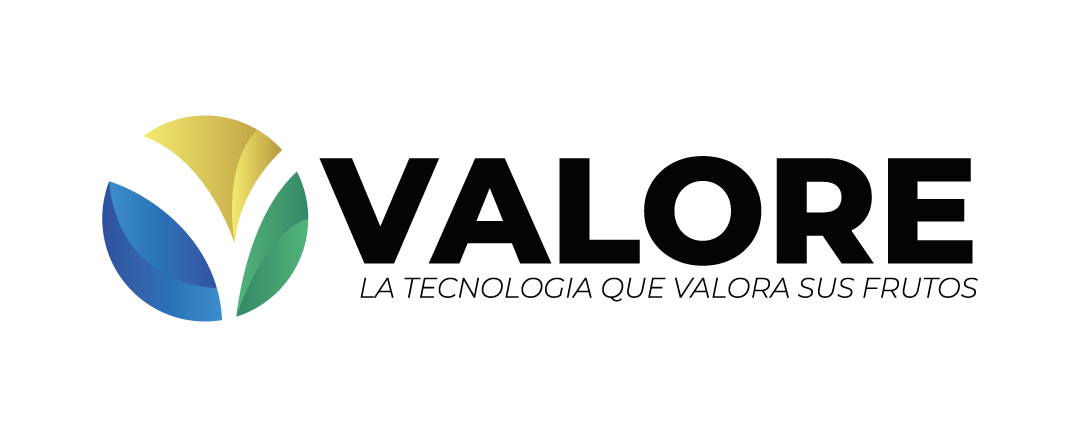 Valore